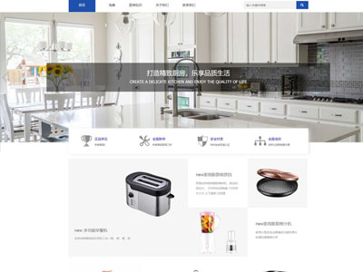 廚衛電(diàn)器家電(diàn)基礎網站建設-案例