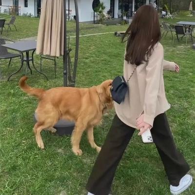 无瑕的房间